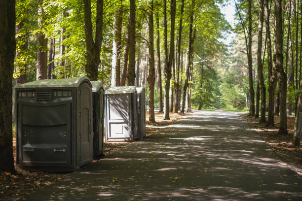 Best Affordable portable toilet rental  in Maysville, NC